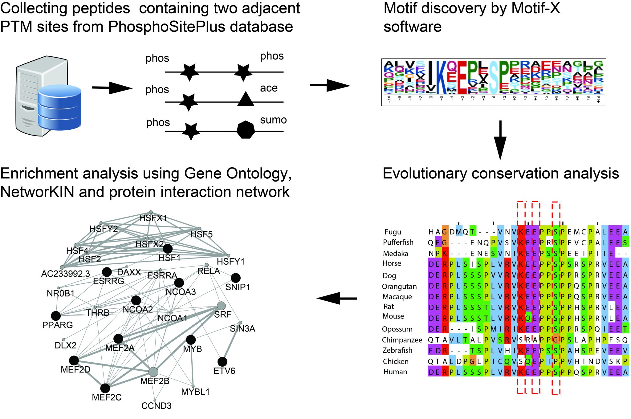 Identification of Enriched PTM Crosstalk Motifs from Large-Scale Experimental Data Sets