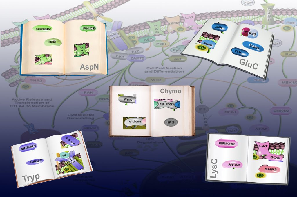 Publication in Cell Reports